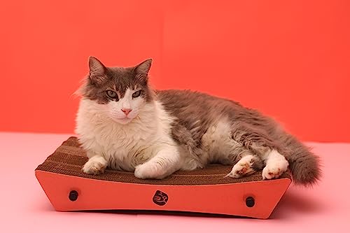 Gatomoderno Arranhador para Gatos de Papelão Kraft, Cama para Gatos, Brinquedo para Gatos, Modelo Br