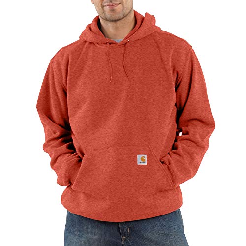 Image of Carhartt Men's Signature Sleeve Logo Midweight Sweatshirt Hooded