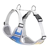 POPETPOP 1 Pieza Correas de para Perros Perro para Perros Grandes Chaleco Cachorro criar reflexivo Aseo Chaleco refrigerante para Perros de Perro Reflectante Sky-Blue