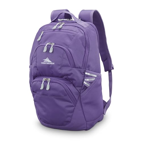 Image of High Sierra Swoop SG Backpack, Travel or Work Laptop Bookbag with Drop Protection Pocket, and Tablet Sleeve, One Size, Light Purple