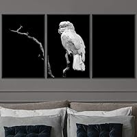 3 Piece Framed Canvas Wall Art Black and White Birds Canvas Prints Home Artwork Decoration for Living Room,Bedroom - 16