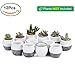 T4U 2.5 Inch Small Ceramic Succulent Planter Pots with Drainage Hole Set of 12, Snowflakes Glazed Porcelain Flower Pots, Plant Lover Gifts for Women Mom for Birthday Christmas Home Office Decor