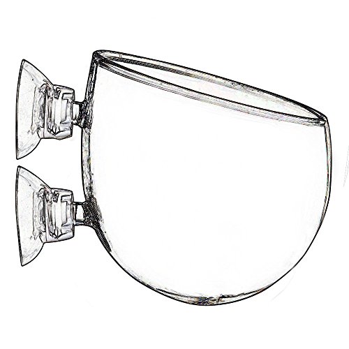 JARDLI Plant Glass Pot for Aquarium Tank Aquascape