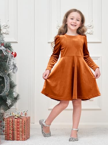 Miipat Toddler Girls Velvet Dress Ruffle Fall Winter Dress Long Sleeve Elegant Wedding Party Dress2