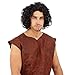 Price comparison product image Fun Shack FNX4426 Medieval Wig Costume, Men, One Size