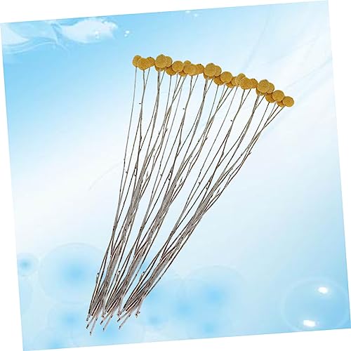 Ramo de flores secas estilo natural Craspedia 20 pcs miniatura 7