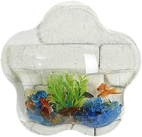 betta fish home