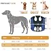 PETCUTE Hunde-Tragegeschirr,Hundegeschirr-Rucksack für große Hundes,Ganzkörpergeschirr mit Griff,Verstellbarer Hunderucksack Für Alte, Gelenkverletzungen, Arthritis-Hunde,Passend Für 7.5 Bis 15 Kg