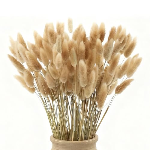 120 fiori secchi naturali di erba della pampa, fiori secchi da 43 cm, fiori secchi per decorazione, erba della pampa in massa alta, coda di coniglio, fiori secchi per matrimoni bohémien