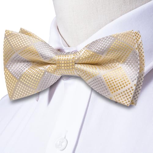 Image of Dubulle Mens Paisley Striped Bowtie Set Pre-tied Bowtie for Men and Pocket Square Set Wedding Business