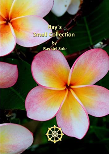 Ray's Small Collection view 2