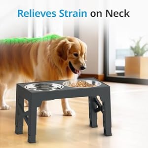 Elevated Dog Bowls with 2 Stainless Steel Dog Food Bowls, 5 Heights Adjustable Raised Dog Bowl for Small Medium Large Dogs, Grey