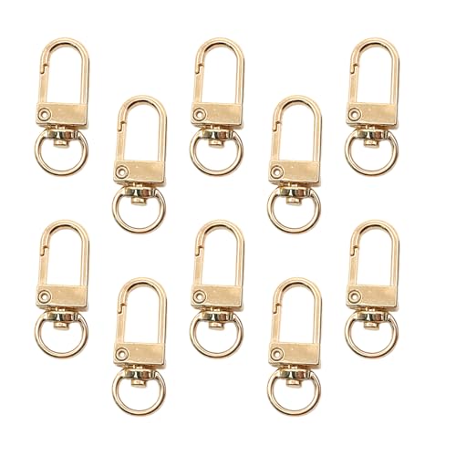 10 PCS^XCxuX^[N[NXNXvOPAO̒ʃRlN^WG[CLO