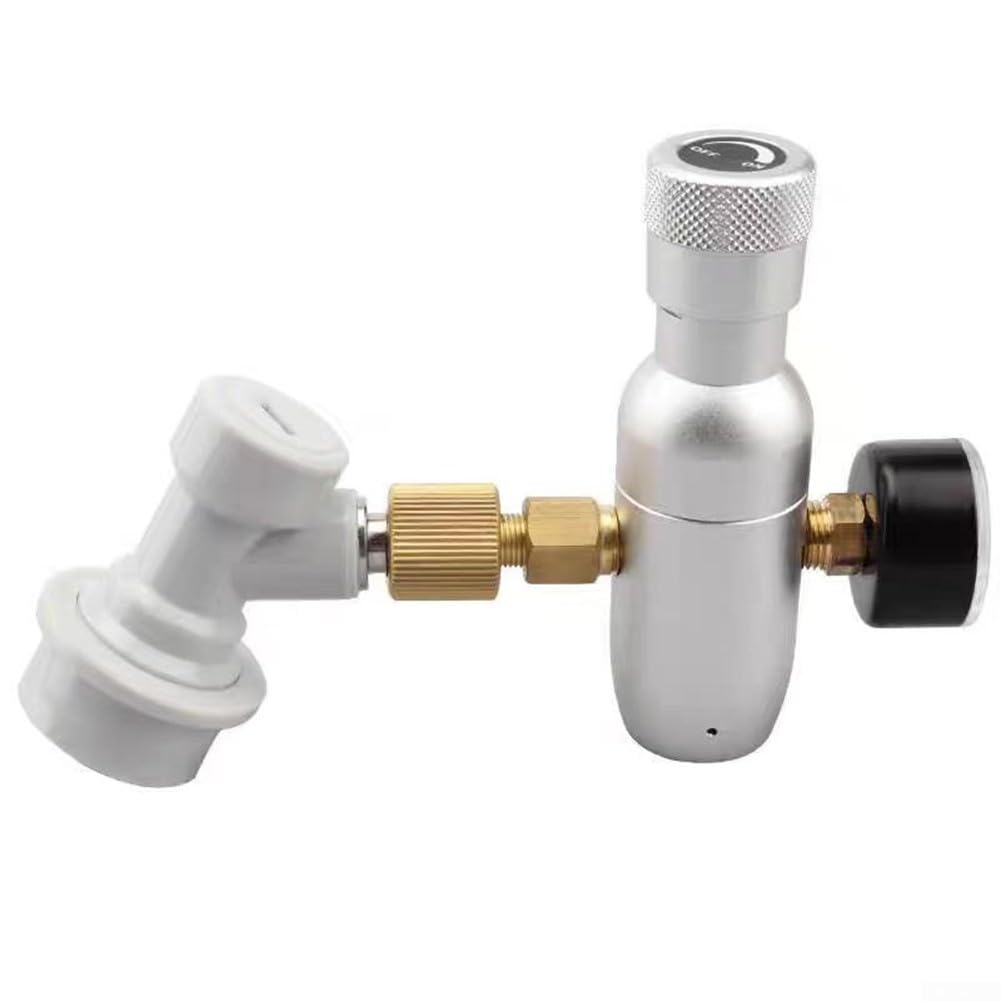 Regolatore barile di birra 0-60 PSI, valvola di riduzione della pressione in alluminio anodizzato con chiusura a sfera, dispenser compatto Homebrew