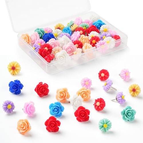 60 t[ vbVs T^bN Ǘp Jt 킢 vbVs f ʐ^  zCg{[h RN{[h n} ItBXp