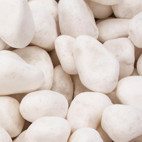 Image of 18 Pounds Decorative Pebbles, White Stones, White River Rock, Natural Aquarium Gravel, Garden Decor Rocks