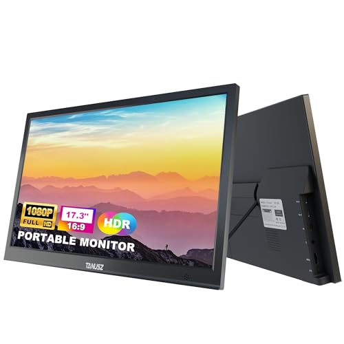 17.3 Portable 1080P Monitor for Gaming and Laptop