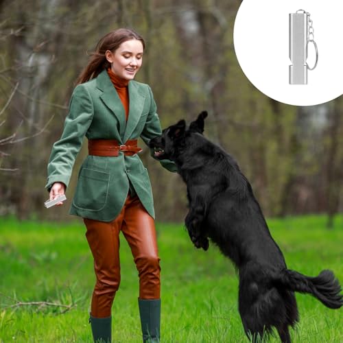 6 Stück Trillerpfeife, Signalpfeife Trillerpfeife Laut Notfall, Trillerpfeifen Metall Notfallpfeife mit Schlüsselanhänger, Schiedsrichter Outdoor Notfall Survival Pfeife für Camping Jagen Wandern – Bild 6