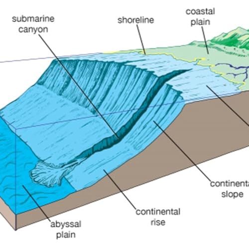 Esther Sumner on Turbidity Currents Podcast Por  arte de portada