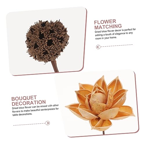 Arreglo Floral Centro de Mesa Flor de Loto Seco miniatura 4
