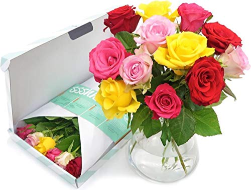 BloomPost Roses mélangées - Cadeau boîte aux lettres - Fleurs fraîches livrées - Bouquet parfait pour les anniversaires et les cadeaux de remerciement - Livraison gratuite Cover