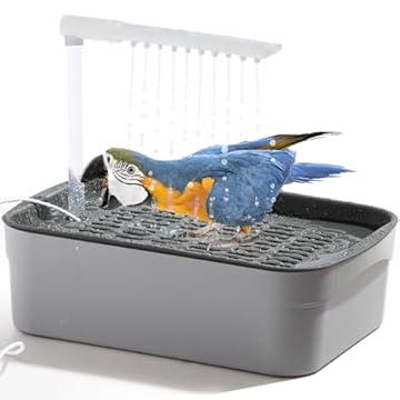 bird bathing solutions for dry skin
