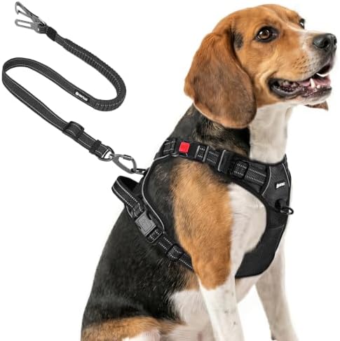 Joytale No Pull Dog Harness & Seat Belt, Easy On 3-Buckle, M, Bla...