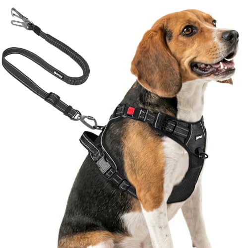 Joytale No-Pull Dog Harness & Seat Belt, M, Black