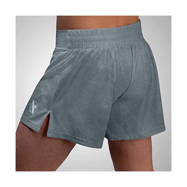 Hayabusa Arrow Kickboxing Shorts - Grey, 30