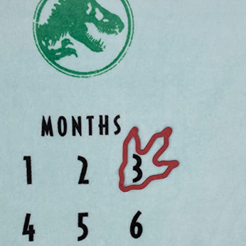 Image of Welcome to The Universe Baby Jurassic World Blue, Green, Orange and Yellow I'm-a-Roar-able Dinosaur Super Soft Milestone Baby Blanket