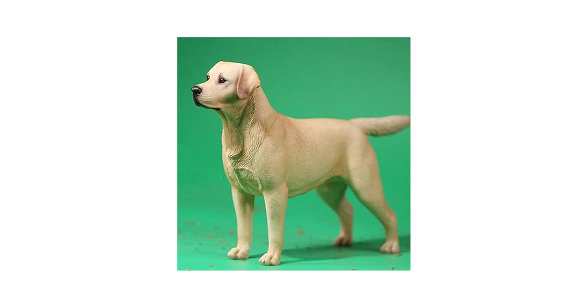Amazon | Mr.Z 1/6 サイズ ラブラドール・レトリバー 可愛い 犬
