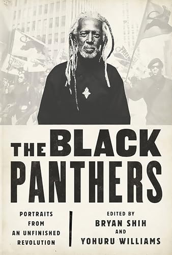 The Black Panthers view 2