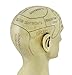 Things2Die4 Creepy Cast Resin Phrenology Head Victorian Steampunk