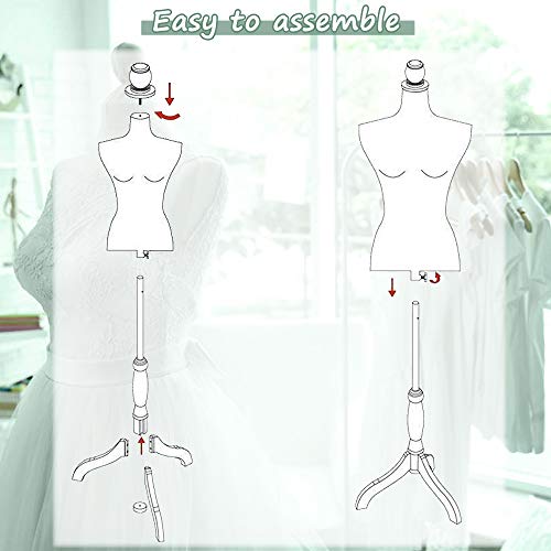 Mannequin Torso Manikin Dress Form Cover Mannequins Female Body Sewing