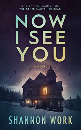 Now I See You (Mountain Resort Mystery series Book 1) by [Shannon Work]
