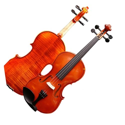 Violon professionnel 4/4 accastillage ébène instrument musique cordes