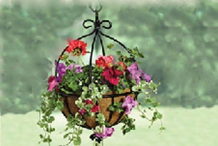 Tom Chambers 35cms Spanish Hanging Basket FHF014
