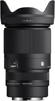 Sigma 16-300mm F3.5-6.7 DC OS | Contemporary (Canon RF)