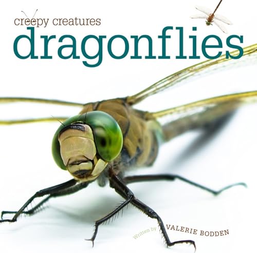 Creepy Creatures: Dragonflies