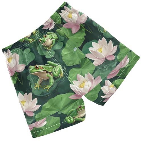 Pigsaly Boys' Swim Board Shorts Spring Lotus Flowers Green Frogs Boy's Swim Trunks Kids Swimwear S2