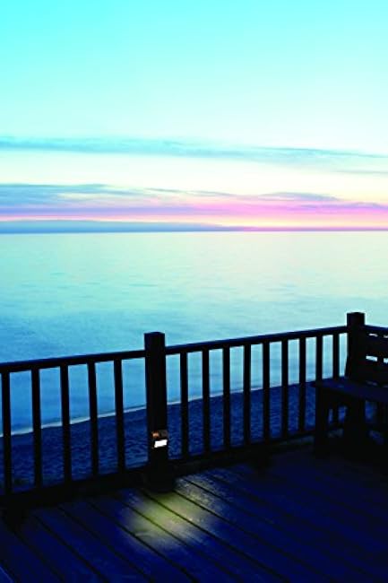 MAXSA Innovations 47334-BZ Bronze Stainless Steel Weatherproof Solar LED Lights for Decks and Steps (4-Pack), Bronze Stainless Steel