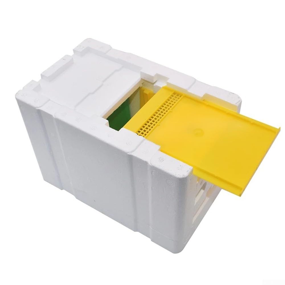 Boîte d'accouplement des abeilles, mini ruche, boîtes à abeilles avec distributeur d'eau, outil d'élevage et de récolte d'abeilles, maison naturelle