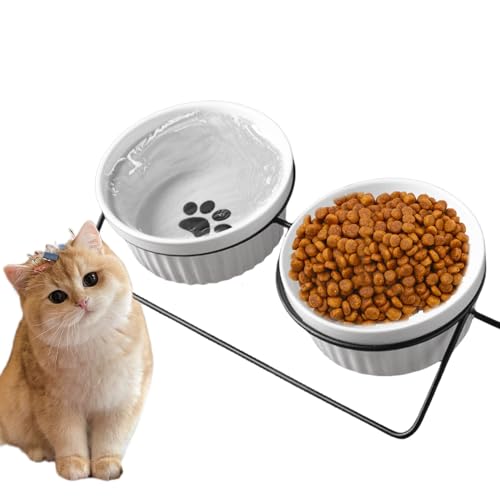 Erhöhter Katzennapf Mit Bein - Anti-Schwarz-Kinn Futterstation