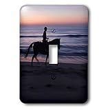 3dRose Danita Delimont - Horses - Morning ride, Vilano Beach, Florida - single toggle switch (lsp_314775_1)
