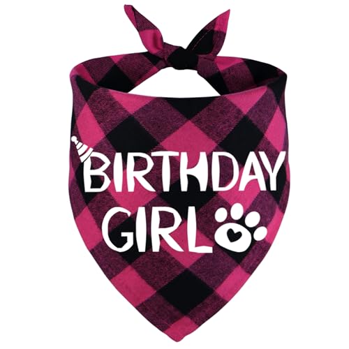 Stmk Dog Birthday Bandana cover