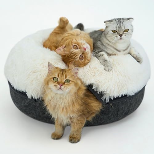 CATTASAURUS Peekaboo Cat Cave for Multiple & Large Cats Up to 30-...