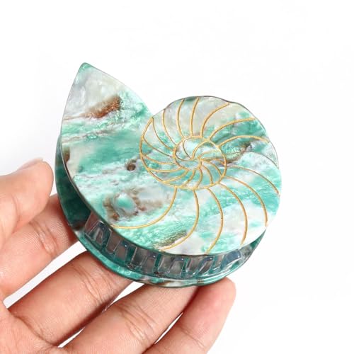 Conch Claw Clip,Personalized Sea Shell Acetate Hair Clips for Women Small Summer Beach Hair Clip Claw for Women Seaside Holiday