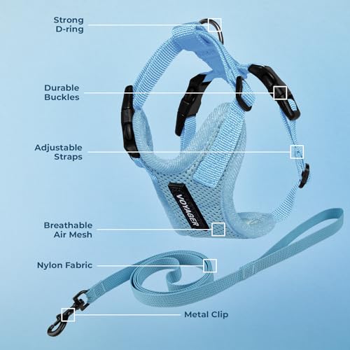 Image of Voyager Escape-Proof Step-in Lock Cat Harness & 5ft Neoprene-Handle Leash Set All-Weather Mesh with Reflective Stitching for Small to Large Cats by Best Pet Supplies, Baby Blue, XXS