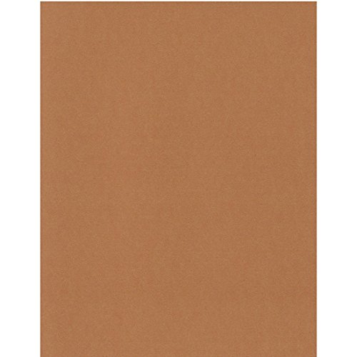 エスケント ケント紙 スターカラー A4 キャメル 100枚 5765007