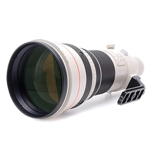 Canon 600mm F4 EF Lens for Professionals